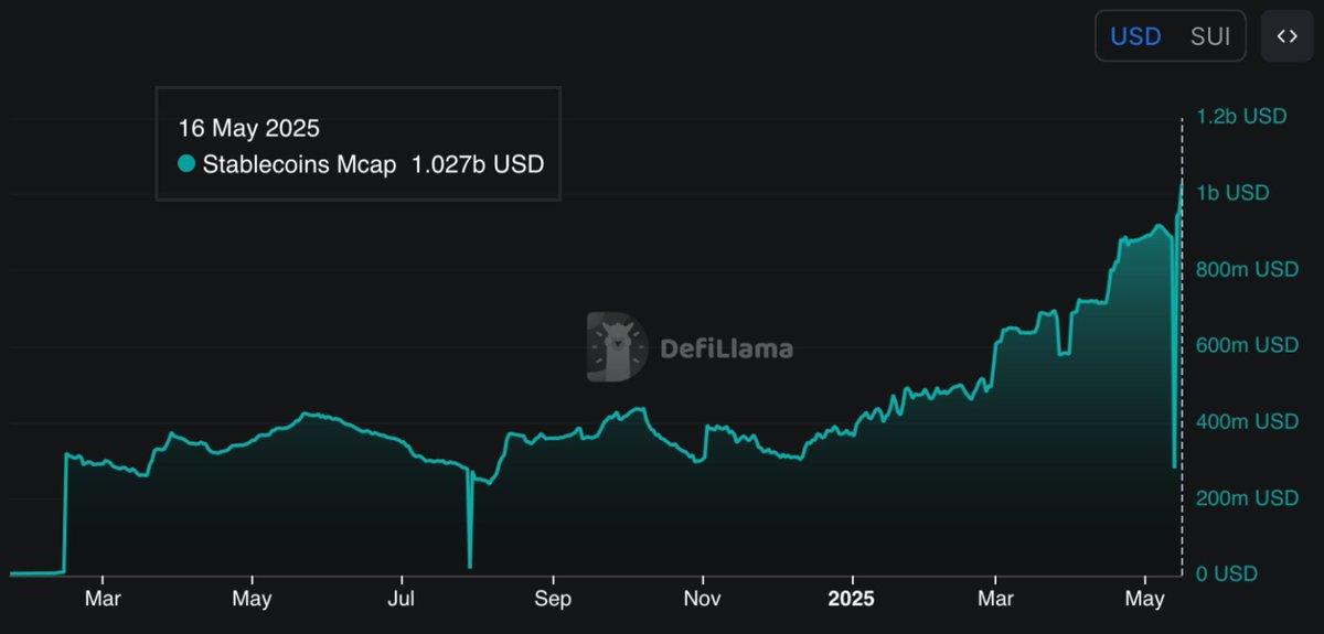 SUI Stablecoin Piyasa Değeri 1 Milyar Dolara Ulaştı